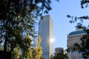 Best Places to Study in Culver City