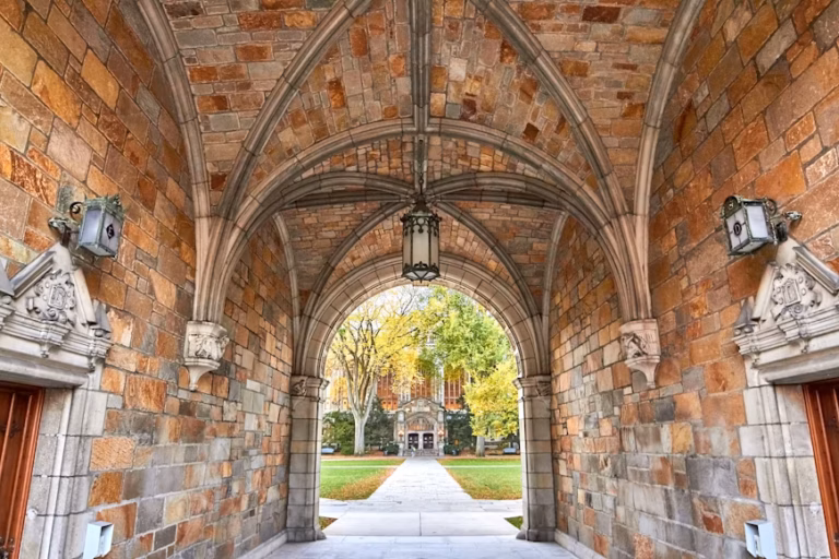 Best Places to Study Near University of Michigan