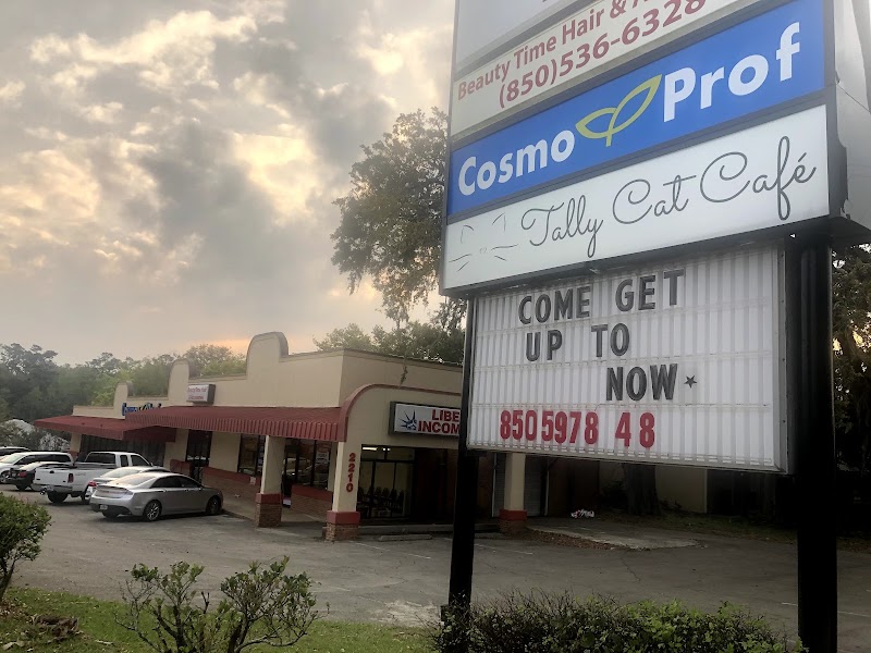 Tally Cat Cafe