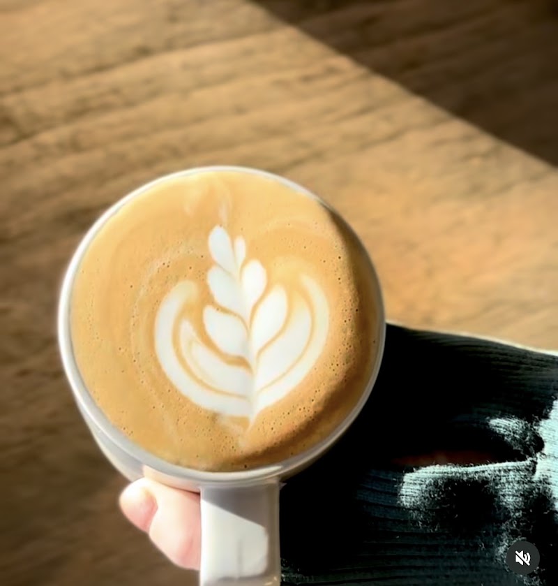 Daysol Coffee Lab