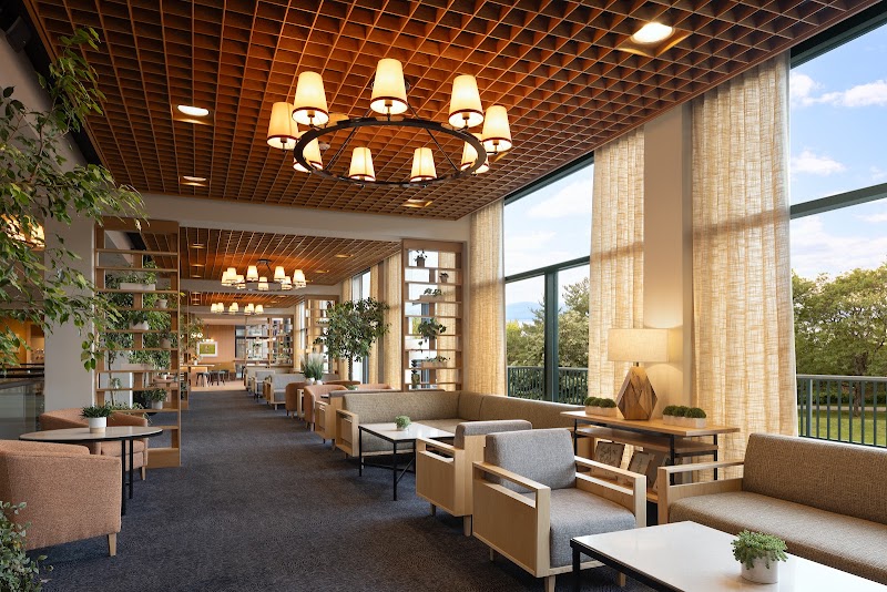 Lily May’s Coffee & Café