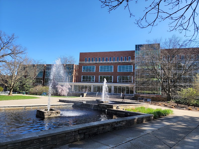 Main Library
