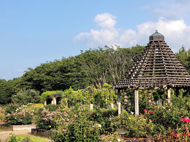 Botanic Gardens