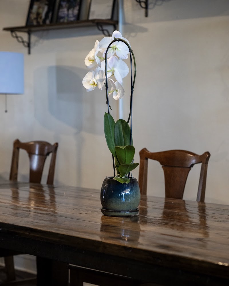 Las Brujas Coffee & Grocery
