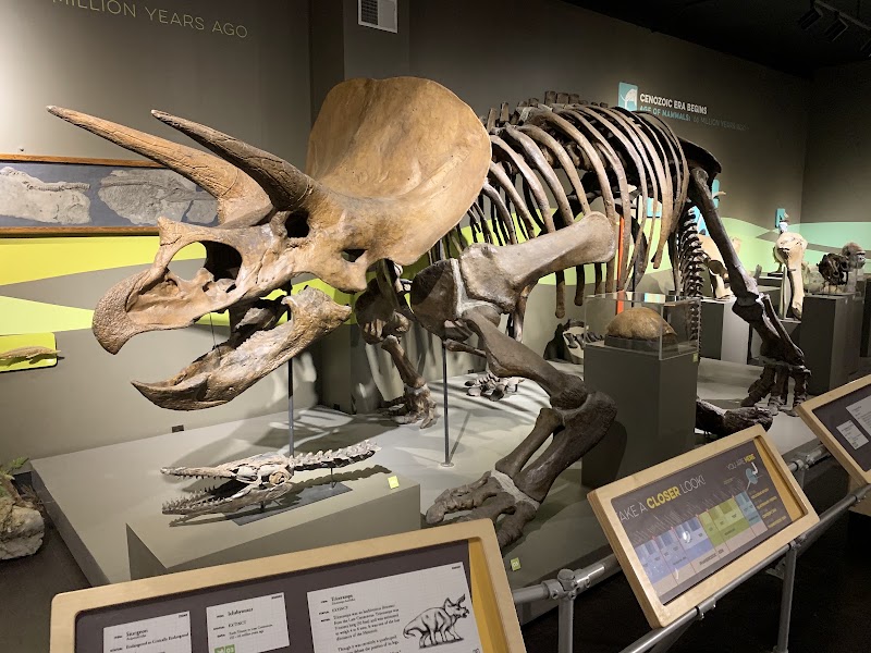 Buffalo Museum of Science