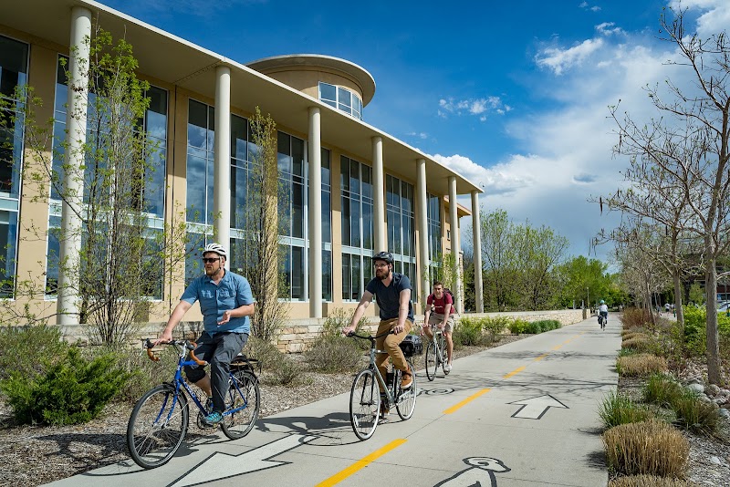 CSU Libraries – Morgan Library
