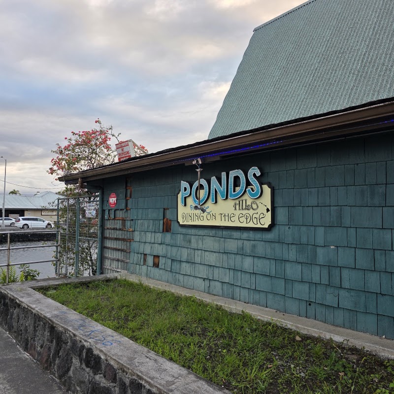 Ponds Hilo